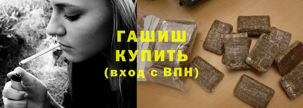 прущие грибы Белокуриха