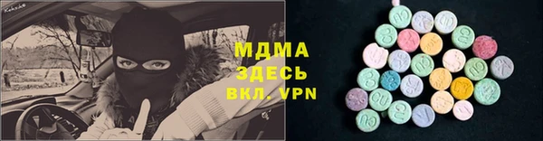 прущие грибы Белокуриха