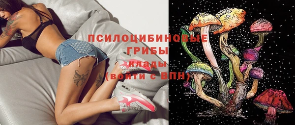 прущие грибы Белокуриха