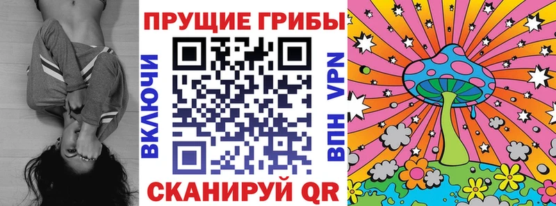 Галлюциногенные грибы прущие грибы  где найти   Боготол 